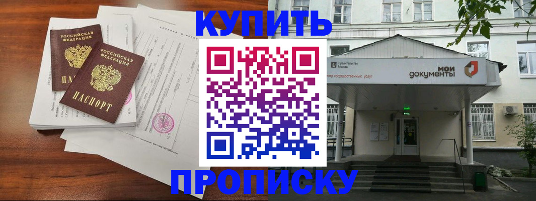 прописка для школы в Щёлково